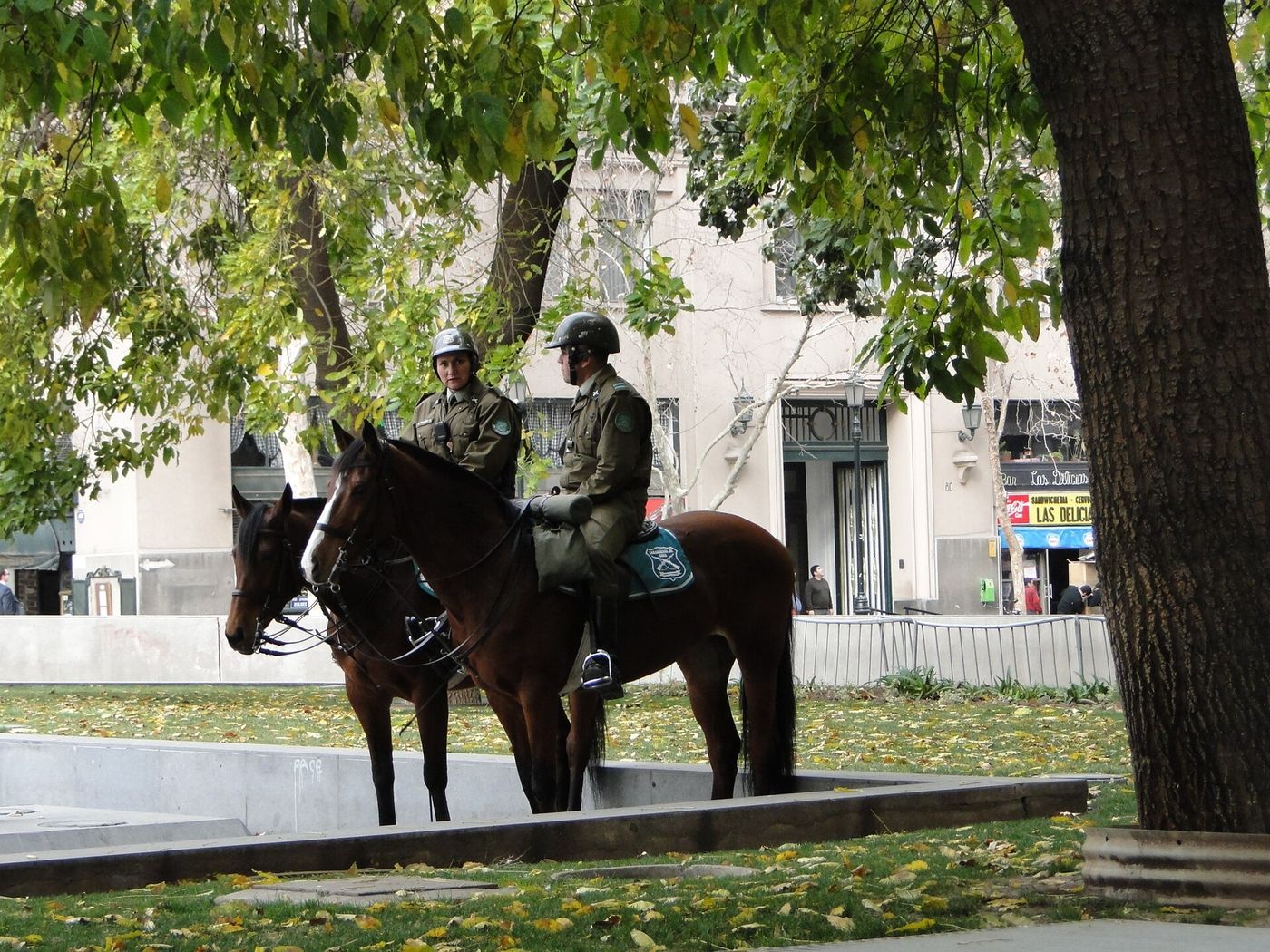 Two mounted Carabineros on patrol in a tree-lined plaza in Santiago on an ordinary day
