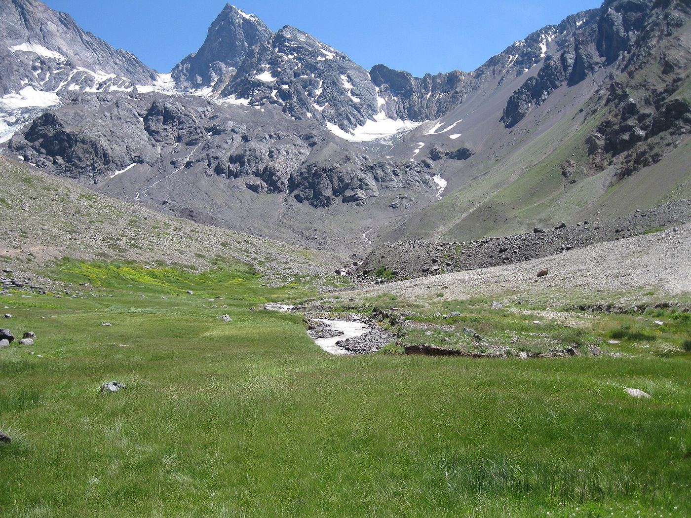 Glaciated peaks above a green meadow at Monumento Natural El Morado near Banos Morales, Chile