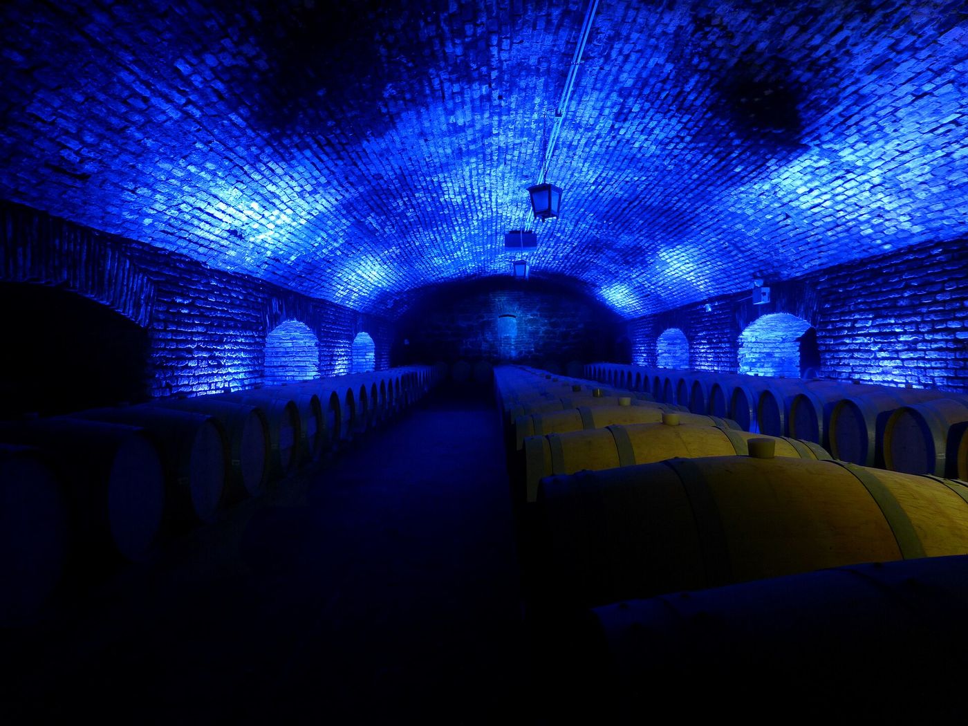 Barrels under a brick vault lit blue inside the Casillero del Diablo cellar at Concha y Toro in Pirque