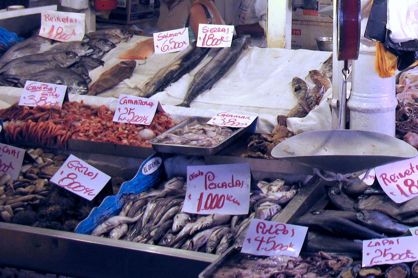 Iced fish and shellfish laid out with handwritten price signs at a Santiago market counter