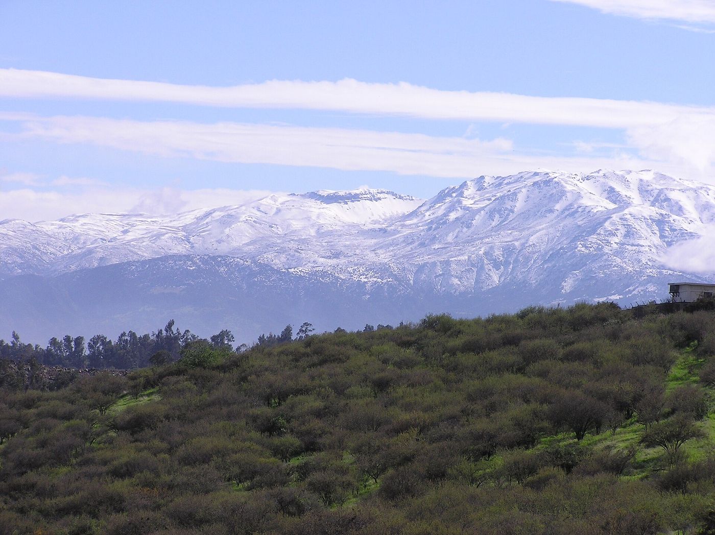 View of the Andes foothills from Alto Macul above Santiago, with dry scrub in the foreground and ridges behind