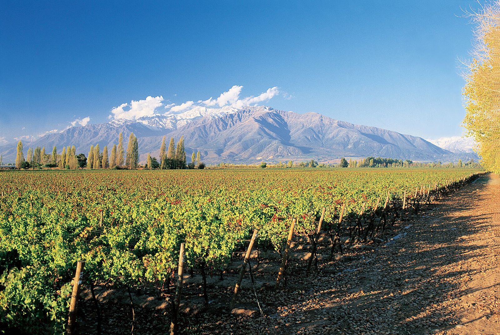Santiago Chile in March: Summer Weather With the City Switched Back On