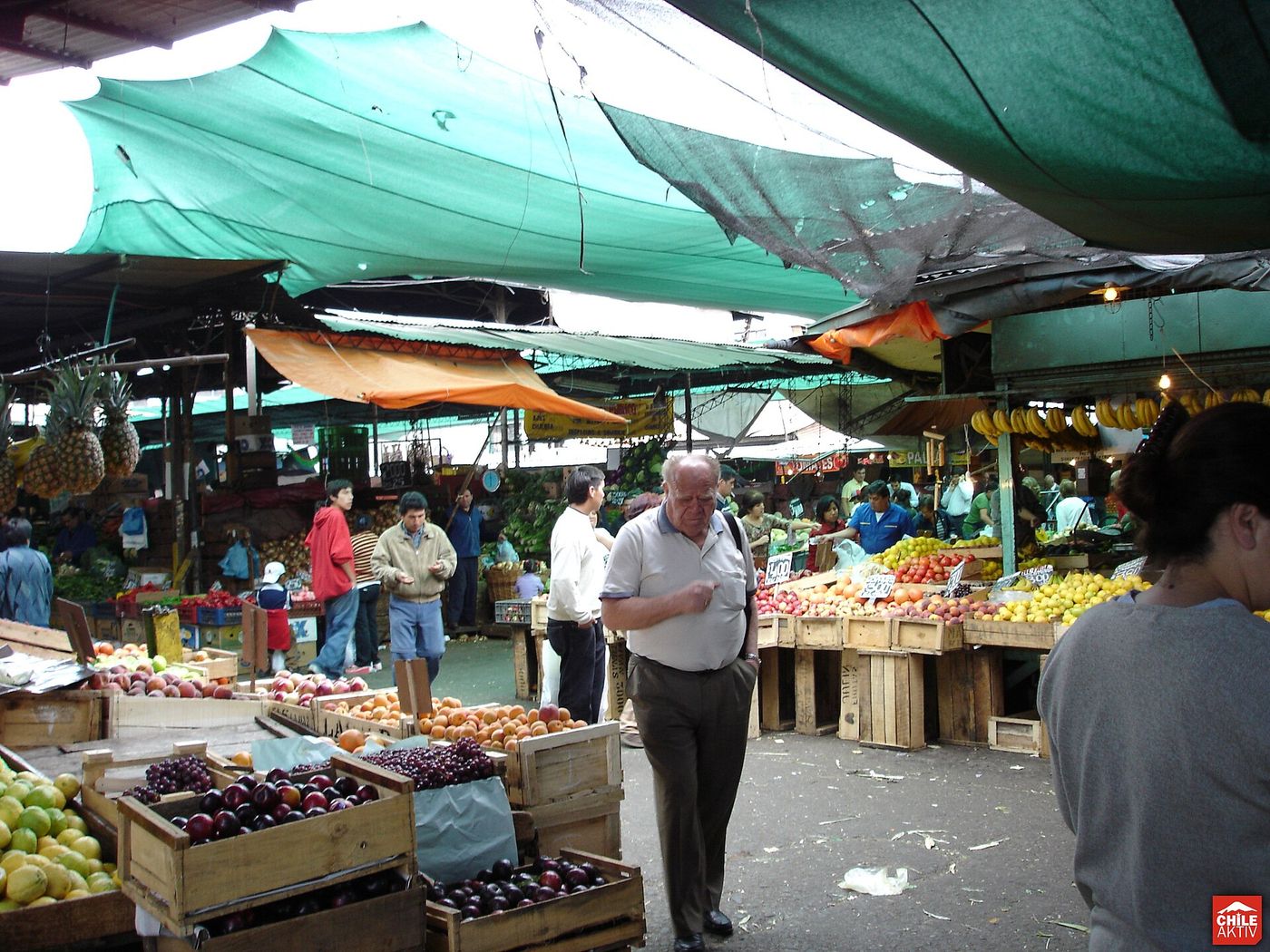 Shoppers walking between fruit and vegetable stalls under green awnings at La Vega Central market in Santiago
