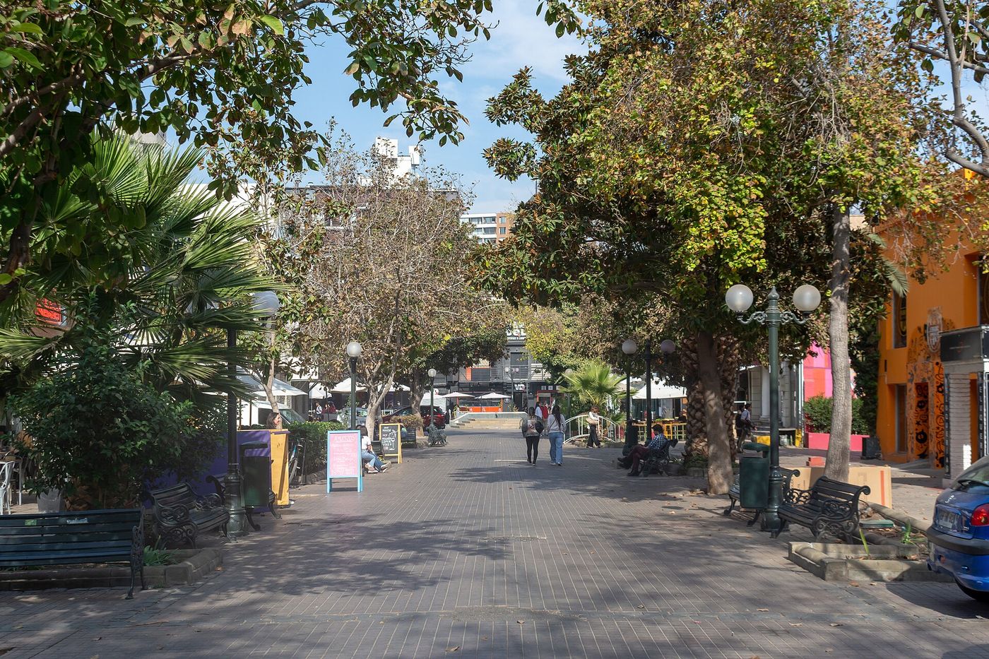 People walking under plane trees on Calle General Holley in Providencia, Santiago