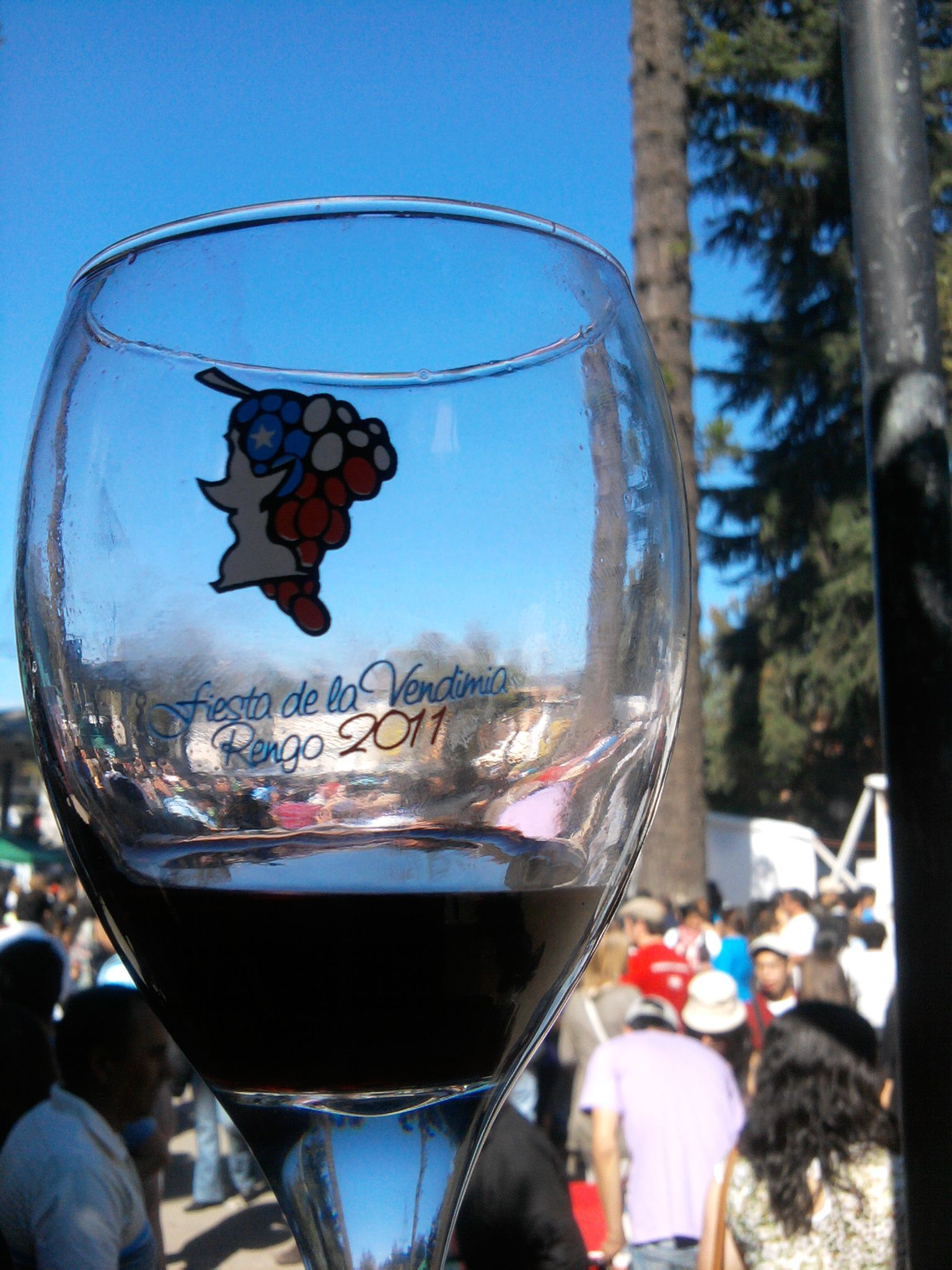 Maipo Valley Wine Harvest Festivals: What the Vendimia Is Really Like