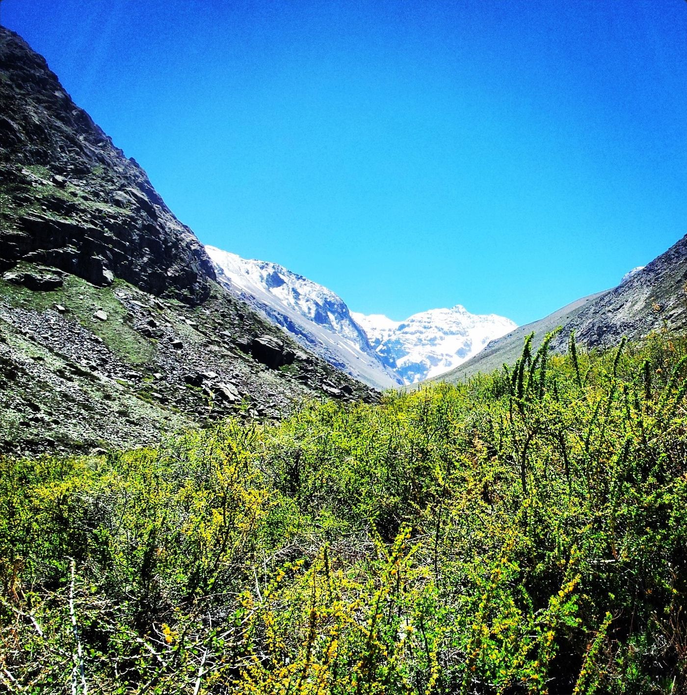 Green glacial valley at the Yerba Loca nature sanctuary near Santiago, with snow-covered peaks at its head