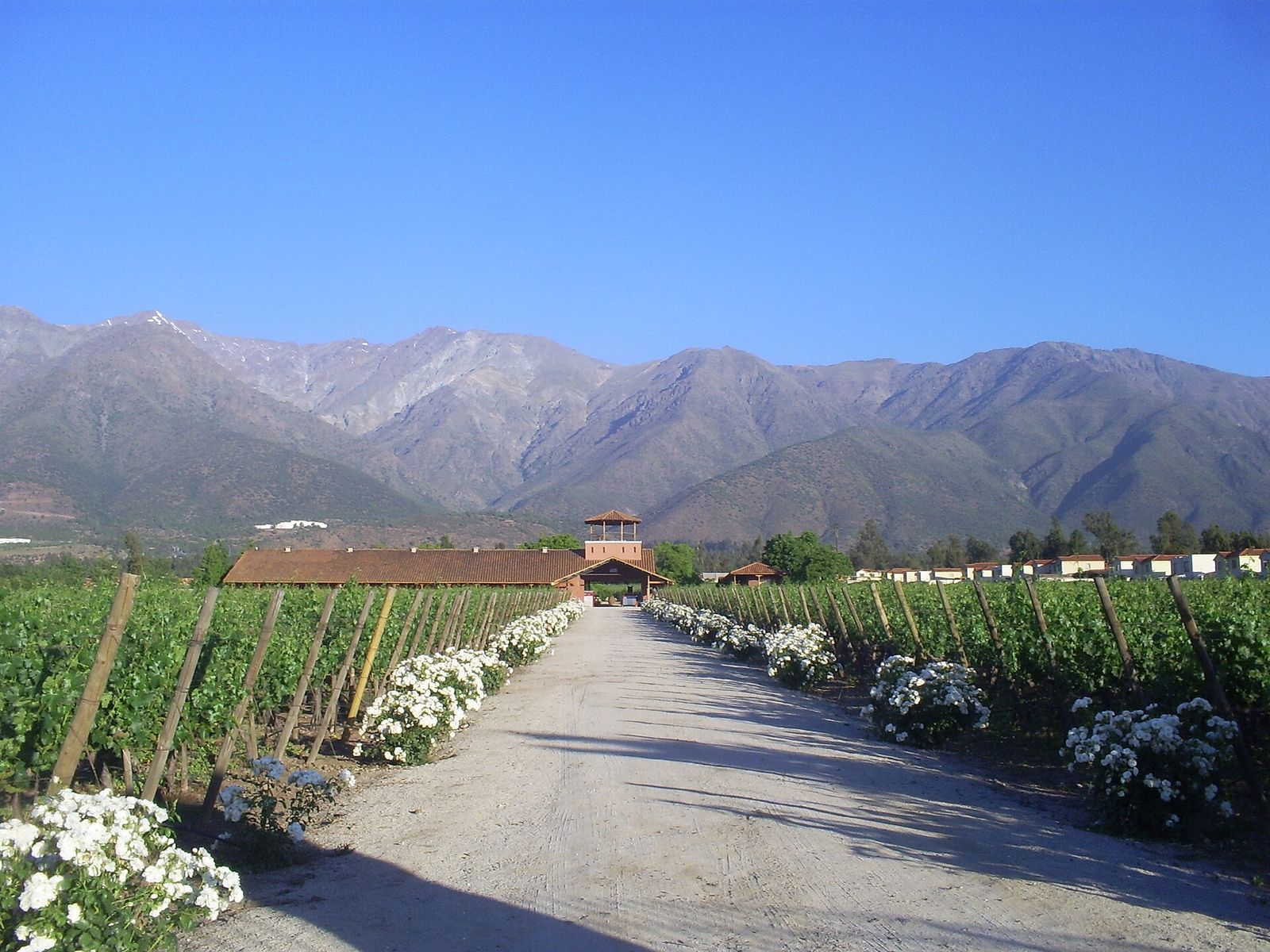 Maipo Valley Wine Tour Guide: Four Routes From Santiago, With Prices