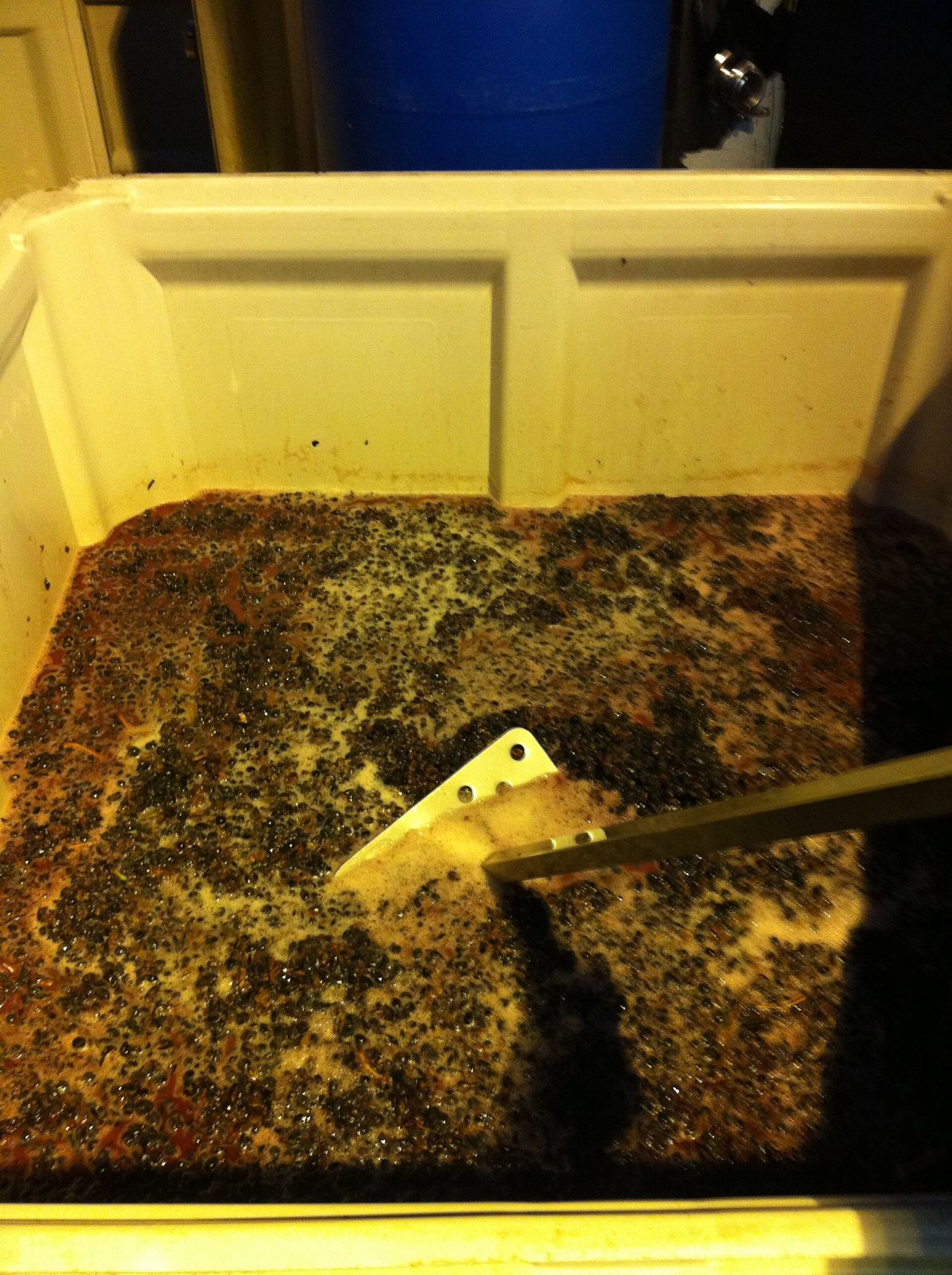 A metal tool pushing down the cap of grape skins in a bin of fermenting red wine