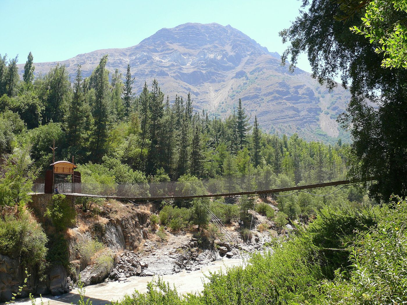 A rope suspension bridge over the Maipo River among pines, with a mountain behind, at the Cascada de las Ánimas