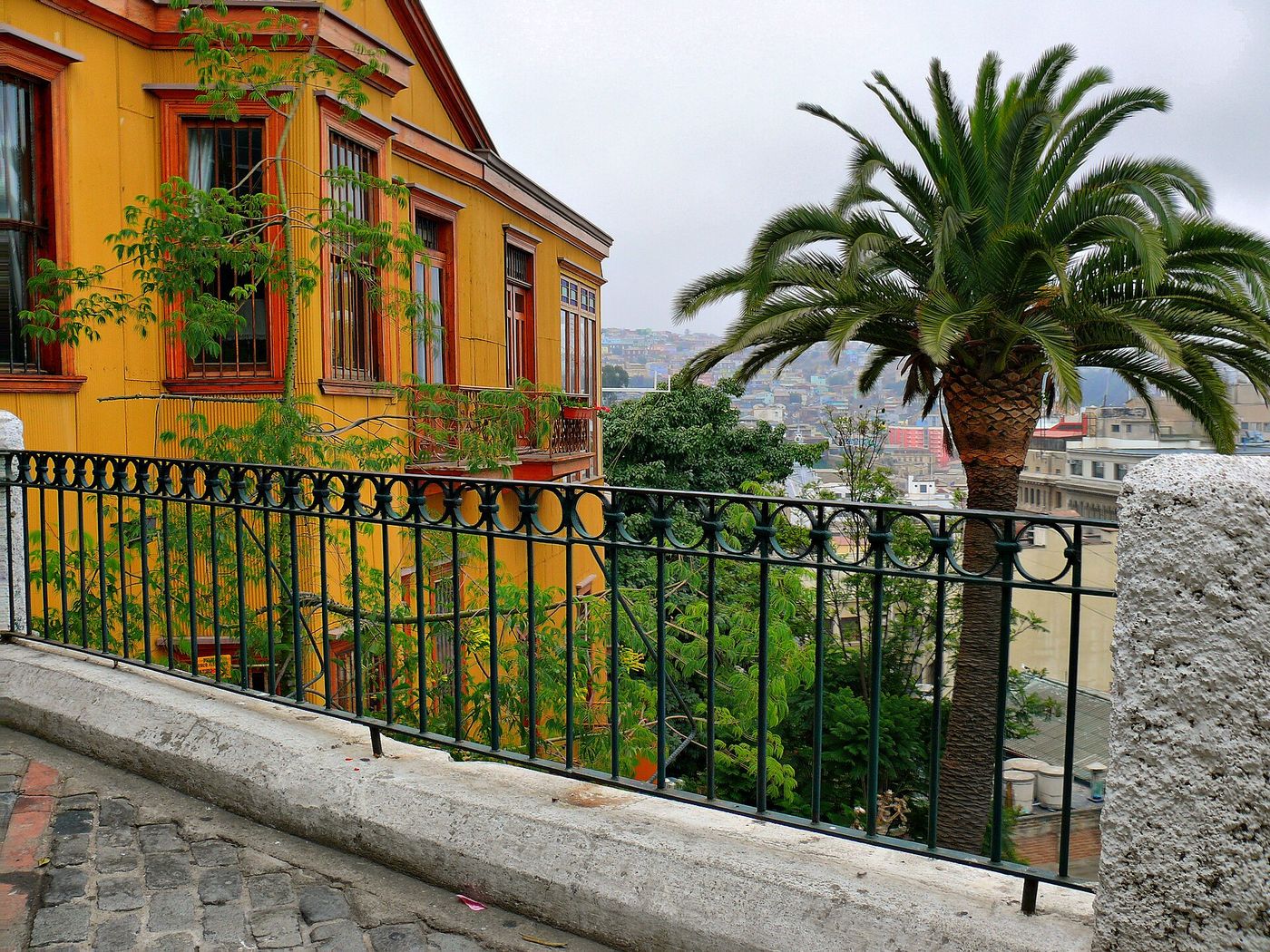 An orange house with dark green window frames above an iron railing and a palm tree on Cerro Concepción