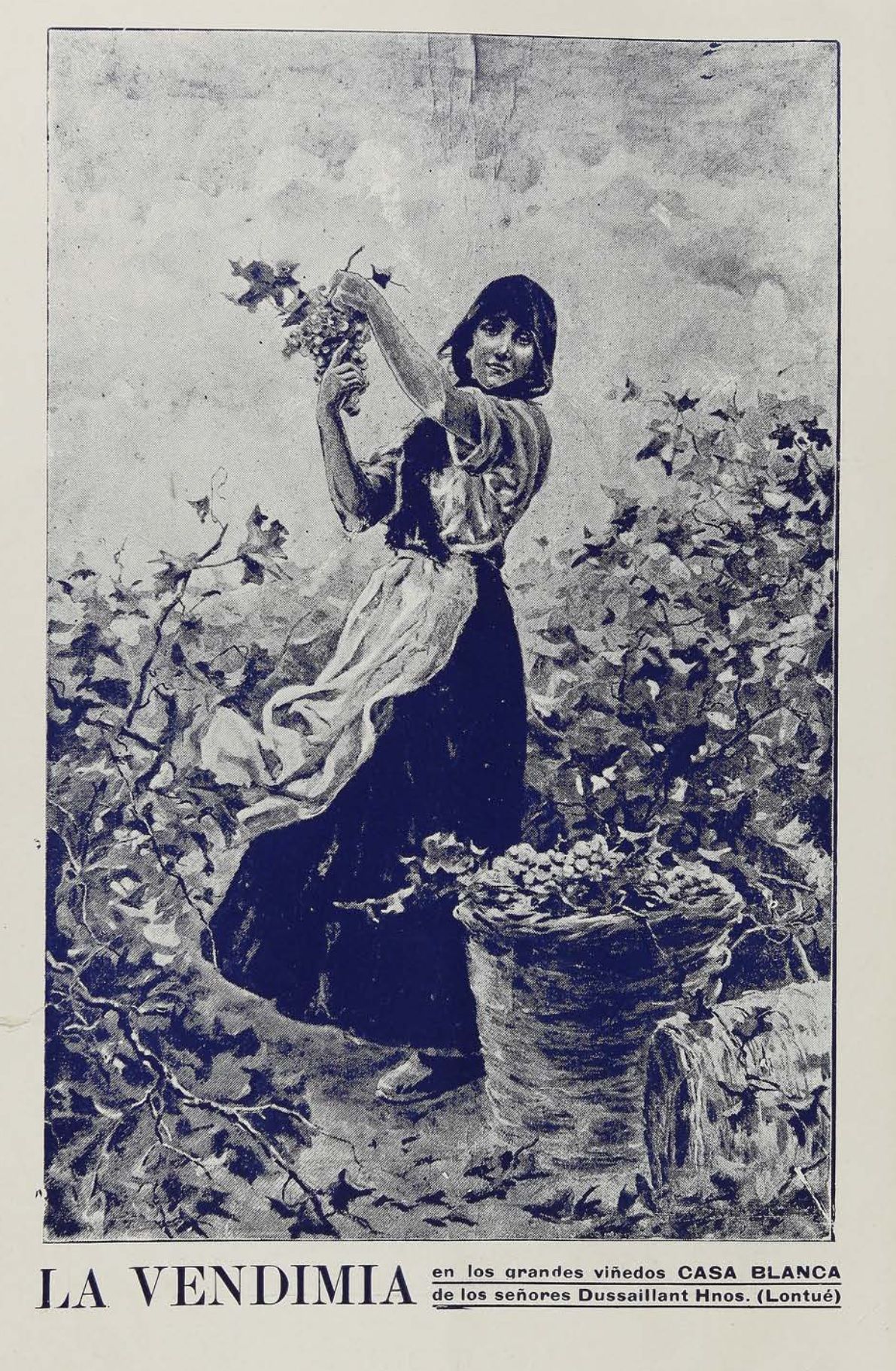 Old Chilean magazine illustration of a woman picking grapes beside a full basket, captioned La Vendimia