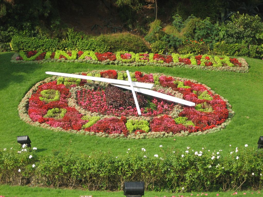 The Reloj de Flores in Viña del Mar, a clock face planted with red and green flowers on a grassy slope with large white hands